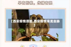 【西安疫情原因,西安疫情来龙去脉】