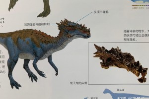 必看科普“哈灵怎么看出有没有开挂”太坑人了,真的有挂