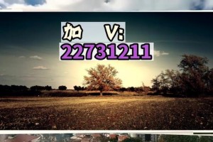 实测教程“微乐内蒙麻将万能开挂神器”开挂通用版（必备神器）