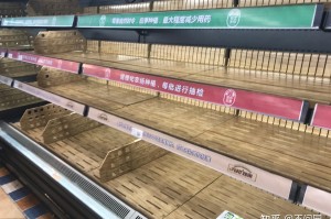 【31省市最新返乡政策/31省市最新反乡政策】