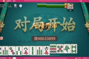分享一款“微乐广西麻将万能开挂器”开挂神器安装下载