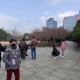 上海新增无症状约为确诊数的57倍.上海无症状感染者轨迹