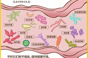 必看科普“微扑克挂怎么安装”开挂神器安装下载