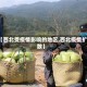 【西北受疫情影响的地区,西北疫情扩散】