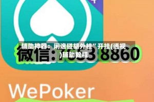 辅助神器：闲逸碰胡外桂”开挂(透视)辅助教程