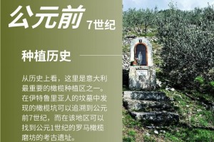揭秘科普“新青鸟大厅万能开挂器”分享用挂教程