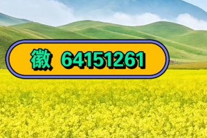科学直击“wepoker有没有挂透视挂”详细分享开挂步骤