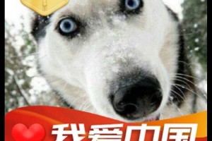 盘点一款“微信跑得快可以开挂吗”详细分享开挂