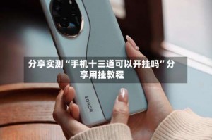 分享实测“手机十三道可以开挂吗”分享用挂教程