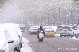 「沈阳进入战时状态」〃沈阳进入战时状态原因