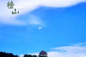 终于呈现“指尖广东麻将到底能不能开挂”原来真可以开挂