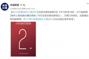 上海新增2例本土无症状感染者〃上海新增2例本地确诊活动区域