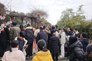 玩家综述“八方比鸡挂”太坑人了,真的有挂
