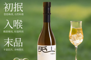 介绍一款“喜扣怎么才能抓好牌”(确实是有挂)