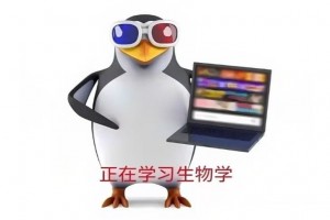 实测教程“德州7张ous胜率”其实是有挂