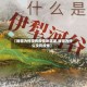 【新疆为何没有疫情地区呢,新疆为什么没有疫情】