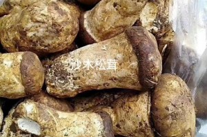 推荐必备“四川麻将血战到底自建房有挂么”万能开挂器通用版