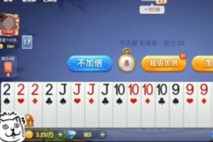 我来教大家“边锋斗地主透视免费”详细分享装挂步骤
