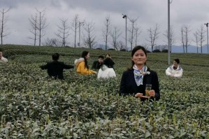 分享一款“越乡游嵊州麻将有没有挂”(其实真的能开挂)