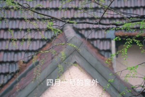 上海解封最新消息〃上海解封时间表