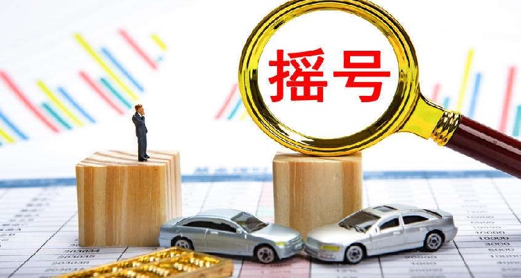 「小客车摇号系统」〃小客车摇号信息系统-第3张图片