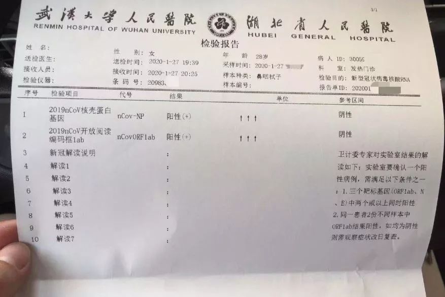 河北新型肺炎最新消息,河北新型肺炎最新消息今天-第2张图片