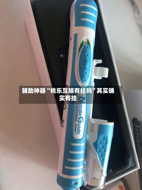 辅助神器“桃乐互娱有挂吗”其实确实有挂-第2张图片