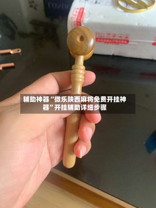 辅助神器“微乐陕西麻将免费开挂神器	”开挂辅助详细步骤-第2张图片