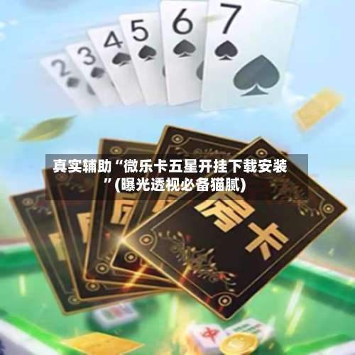 真实辅助“微乐卡五星开挂下载安装”(曝光透视必备猫腻)-第2张图片
