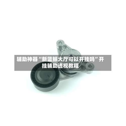 辅助神器“新蓝鲸大厅可以开挂吗		”开挂辅助透视教程-第1张图片