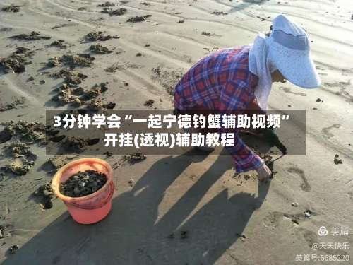 3分钟学会“一起宁德钓蟹辅助视频	”开挂(透视)辅助教程-第1张图片
