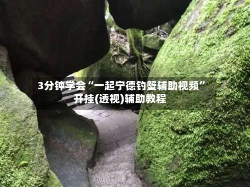 3分钟学会“一起宁德钓蟹辅助视频	”开挂(透视)辅助教程-第2张图片