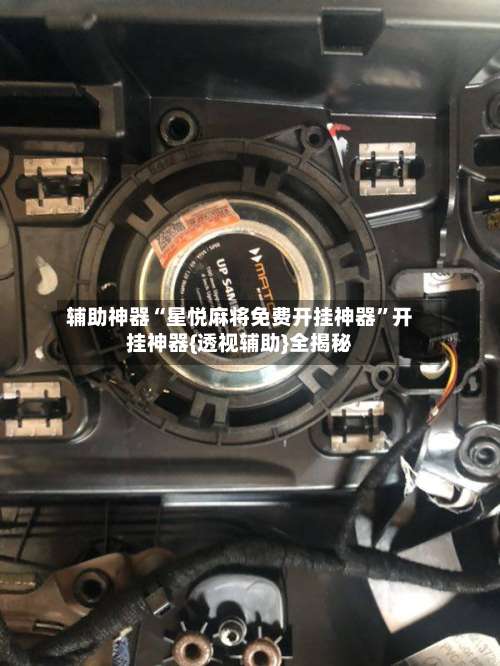 辅助神器“星悦麻将免费开挂神器”开挂神器{透视辅助}全揭秘-第1张图片