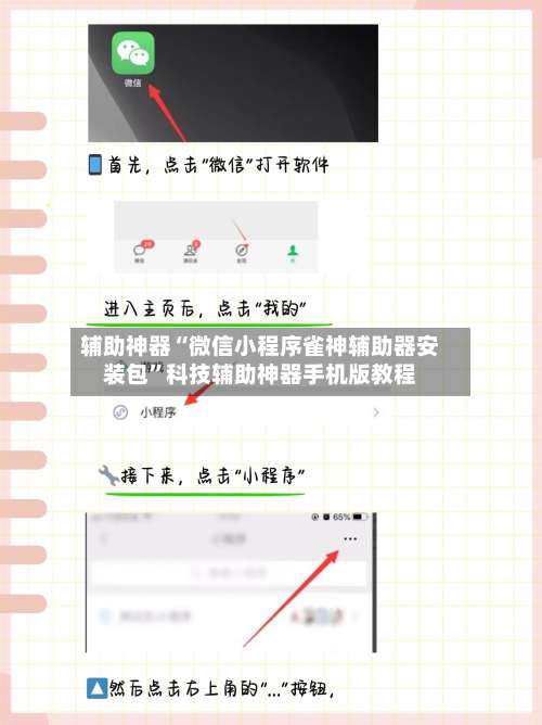 辅助神器“微信小程序雀神辅助器安装包	”科技辅助神器手机版教程-第1张图片