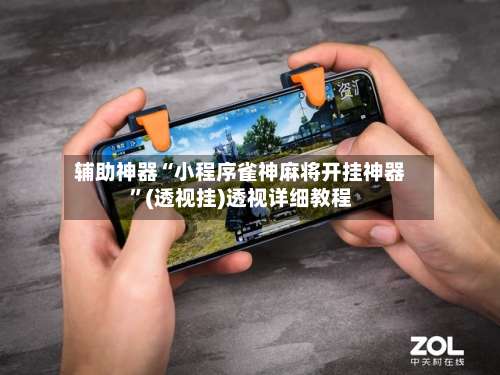 辅助神器“小程序雀神麻将开挂神器	”(透视挂)透视详细教程-第2张图片