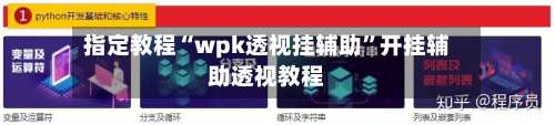 指定教程“wpk透视挂辅助	”开挂辅助透视教程-第2张图片