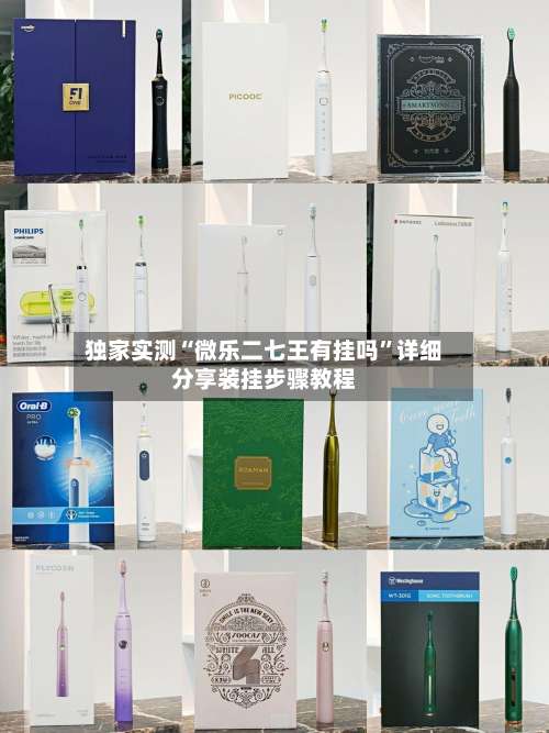 独家实测“微乐二七王有挂吗”详细分享装挂步骤教程-第1张图片