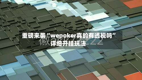 重磅来袭“wepoker真的有透视吗		”详细开挂玩法-第2张图片