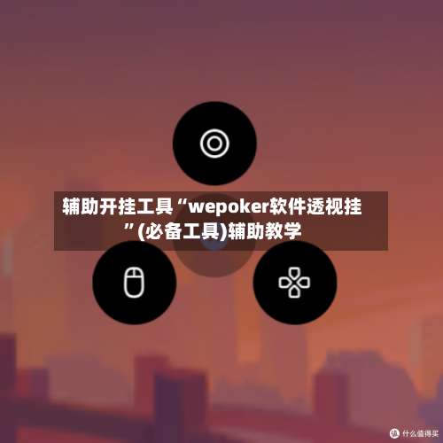 辅助开挂工具“wepoker软件透视挂”(必备工具)辅助教学-第3张图片