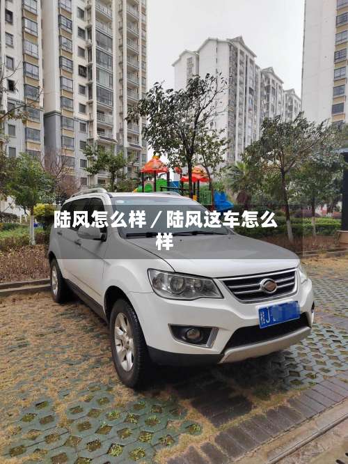 陆风怎么样/陆风这车怎么样-第1张图片