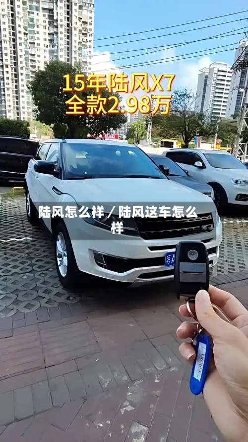 陆风怎么样/陆风这车怎么样-第2张图片