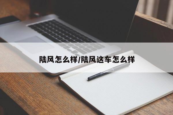 陆风怎么样/陆风这车怎么样