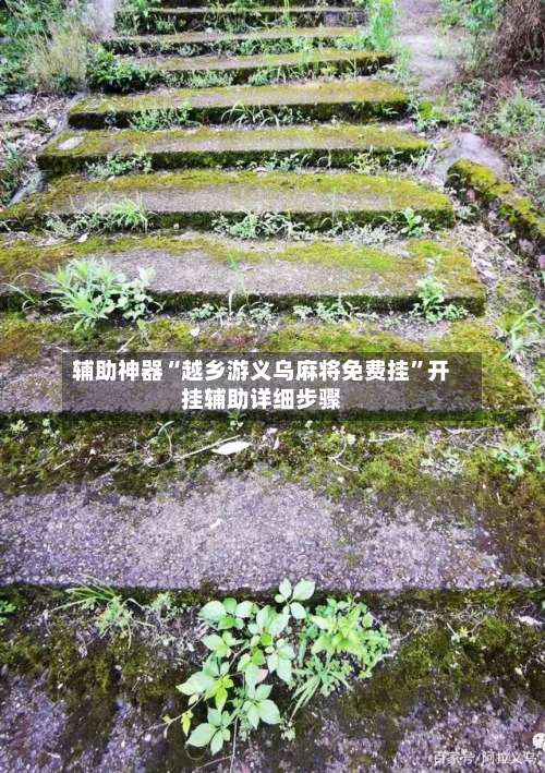 辅助神器“越乡游义乌麻将免费挂”开挂辅助详细步骤-第2张图片