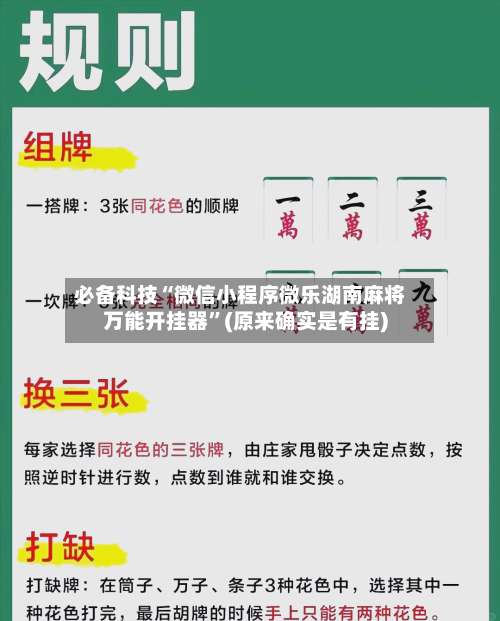 必备科技“微信小程序微乐湖南麻将万能开挂器	”(原来确实是有挂)-第1张图片