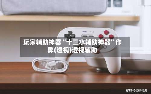 玩家辅助神器“十三水辅助神器	”作弊(透视)透视辅助-第1张图片