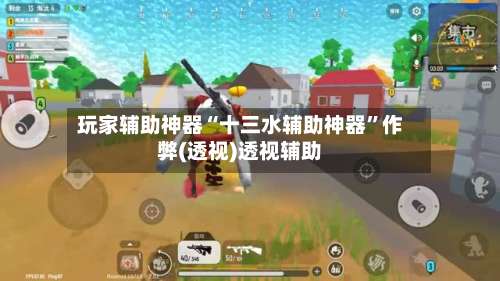 玩家辅助神器“十三水辅助神器	”作弊(透视)透视辅助-第3张图片