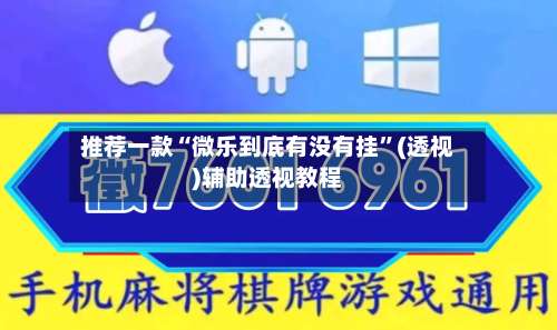 推荐一款“微乐到底有没有挂”(透视)辅助透视教程-第2张图片