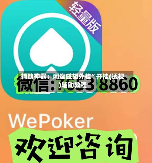 辅助神器：闲逸碰胡外桂”开挂(透视)辅助教程-第1张图片