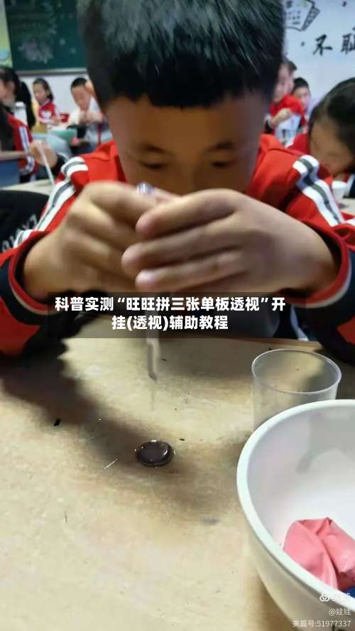 科普实测“旺旺拼三张单板透视	”开挂(透视)辅助教程-第2张图片
