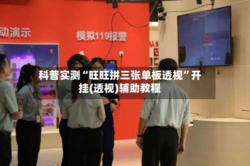 科普实测“旺旺拼三张单板透视	”开挂(透视)辅助教程-第1张图片